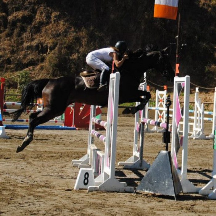 Photo de profil de mrjohn