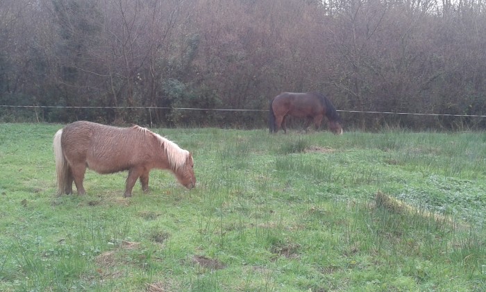 Photo de profil de heidy