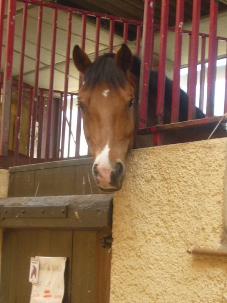 Photo de profil de rosequipue