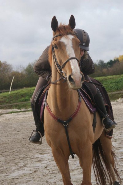 Photo de profil de tiicapippin