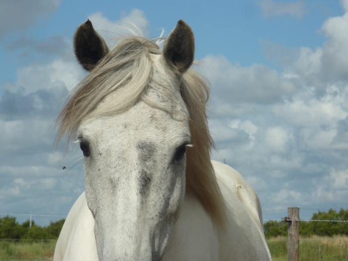 Photo de profil de tornadedream