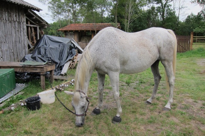 Photo de profil de bordeaux