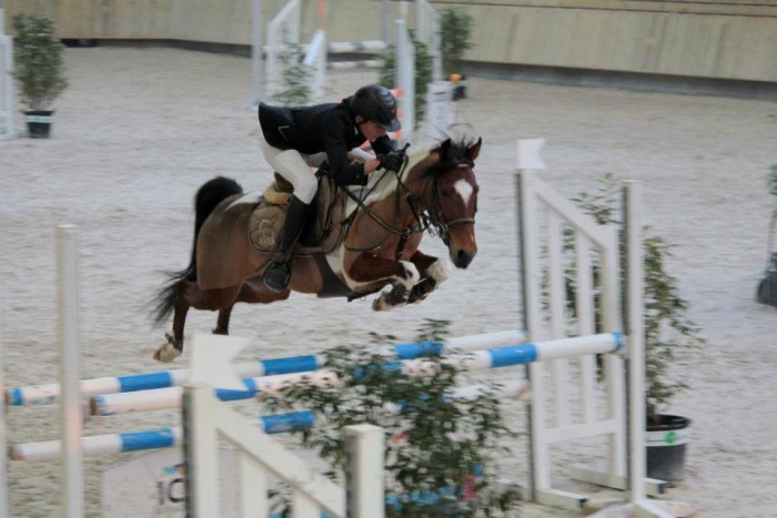 Photo de profil de equitationponey