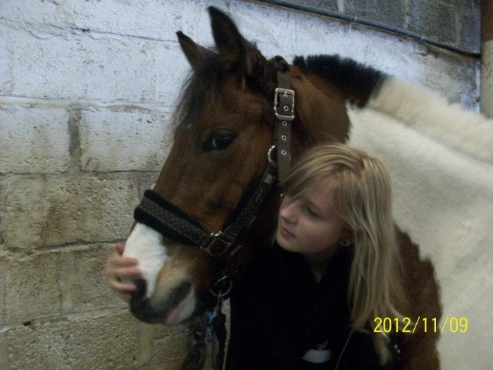 Photo de profil de les_chevaux_x3