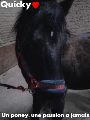 Photo de profil de quickquicky