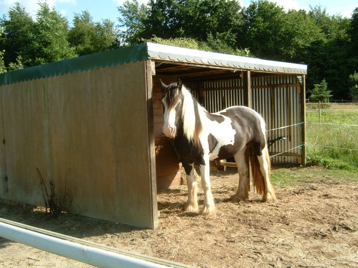 Photo de profil de cannelle10