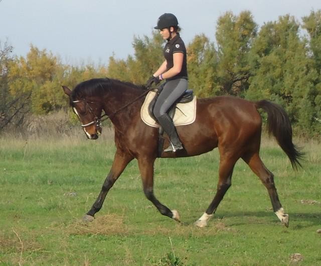 Photo de profil de melaa11