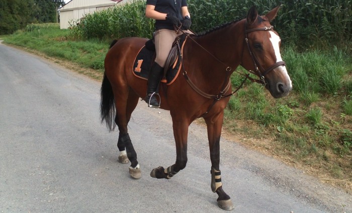 Photo de profil de bloody_mary