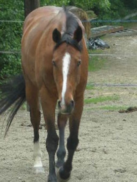 Photo de profil de qotonfly