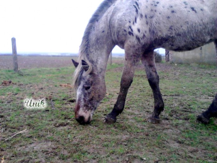 Photo de profil de seuh