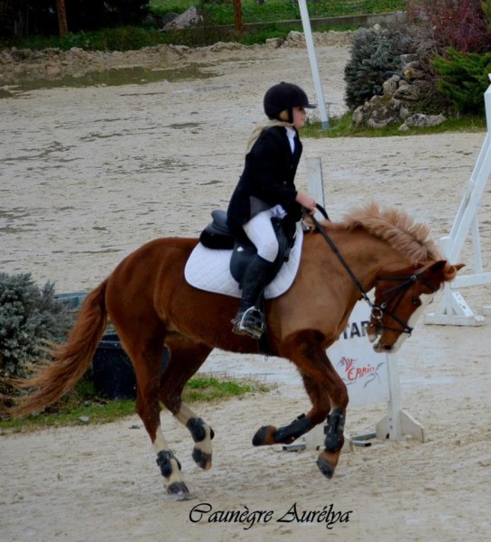 Photo de profil de luciecheval26