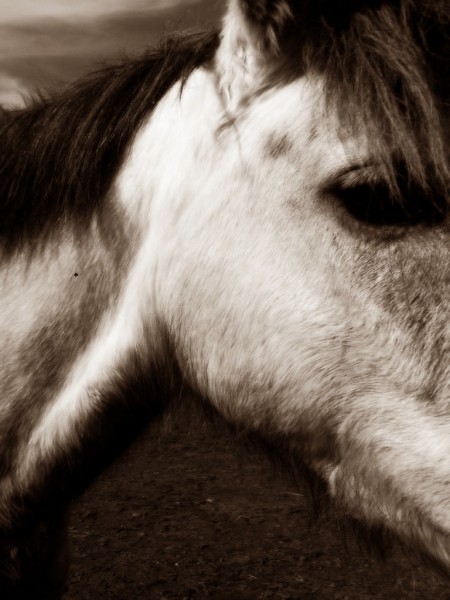 Photo de profil de tyns