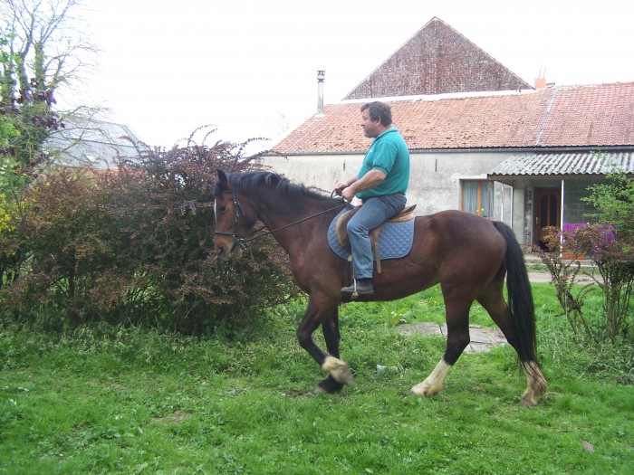 Photo de profil de xav02