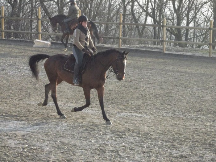 Photo de profil de cperret