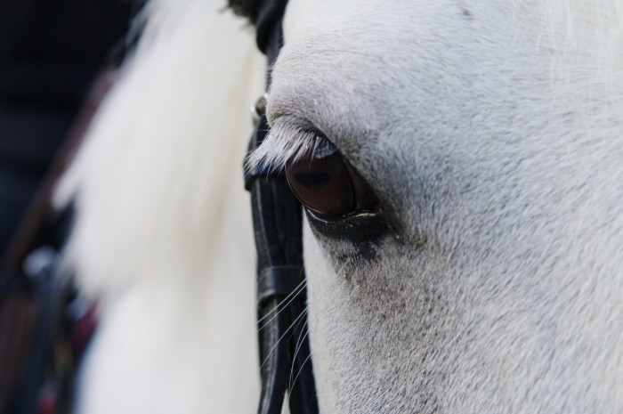 Photo de profil de eloo.