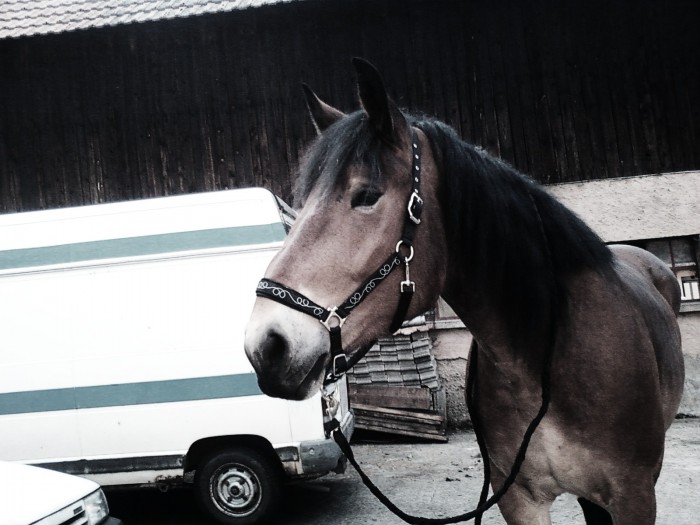 Photo de profil de leanamour