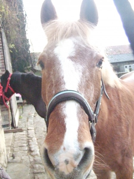 Photo de profil de caradu02