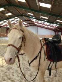 Photo de profil de mlleerwane