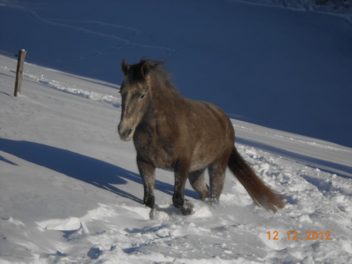 Photo de profil de velcane