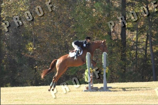 Photo de profil de ashtastically