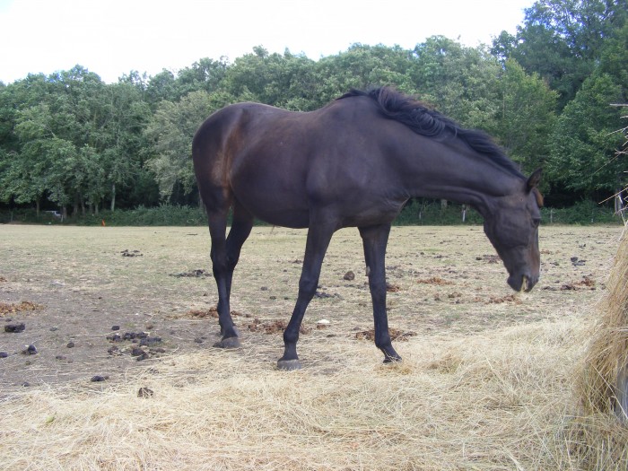 Photo de profil de cece3602