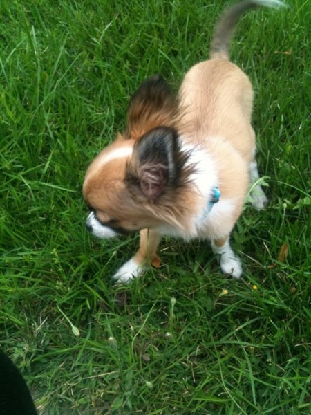 Photo de profil de honneycandy