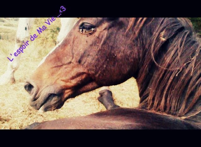 Photo de profil de indiedidi