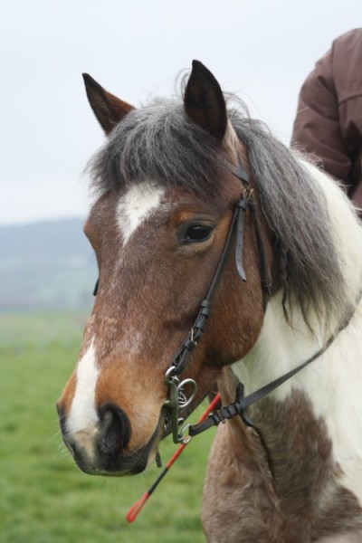 Photo de profil de alinedu42100