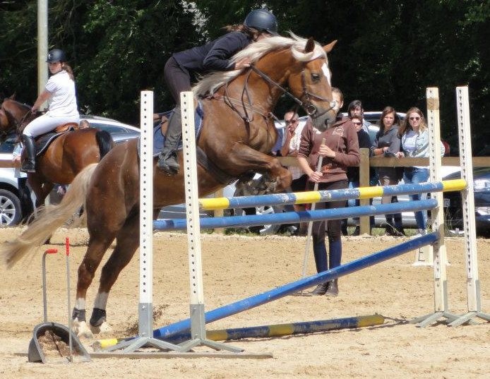 Photo de profil de kivago