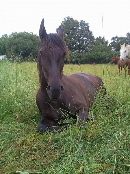 Photo de profil de mildiou001