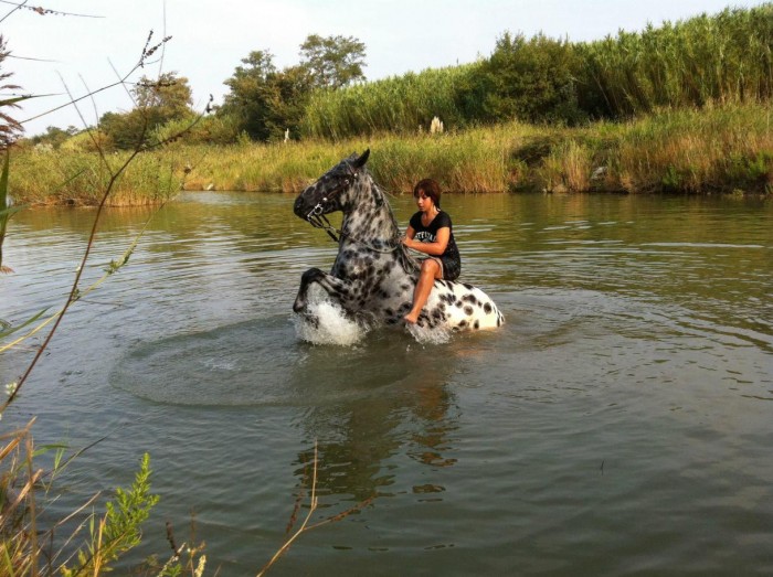 Photo de profil de picassocindy