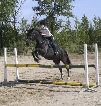 Photo de profil de sarahnana56