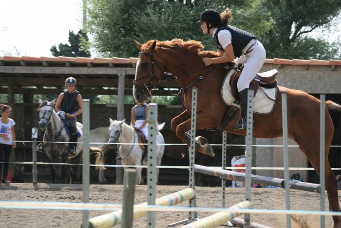 Photo de profil de lisamabilleau