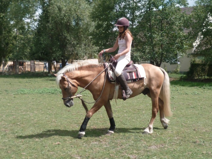 Photo de profil de littlet