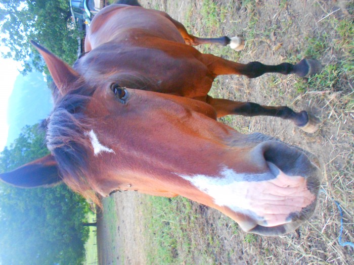 Photo de profil de cachouille