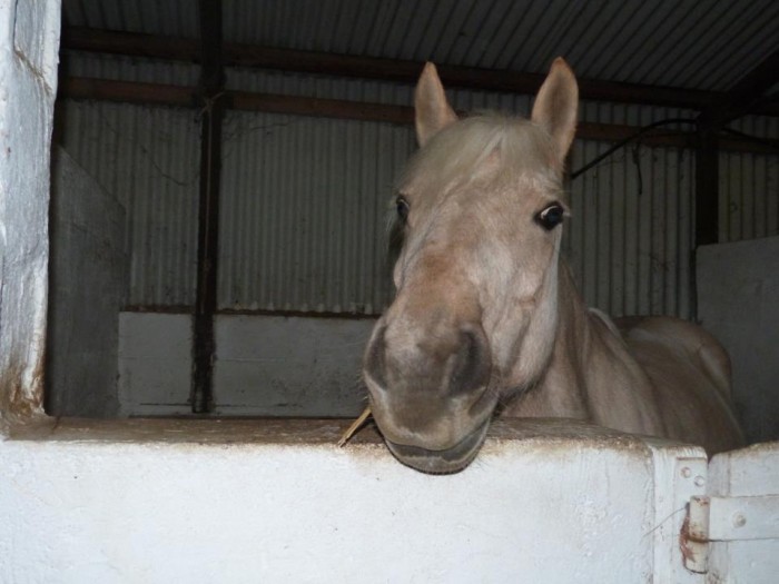 Photo de profil de lilicamille