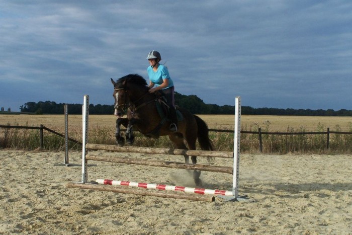 Photo de profil de randy4