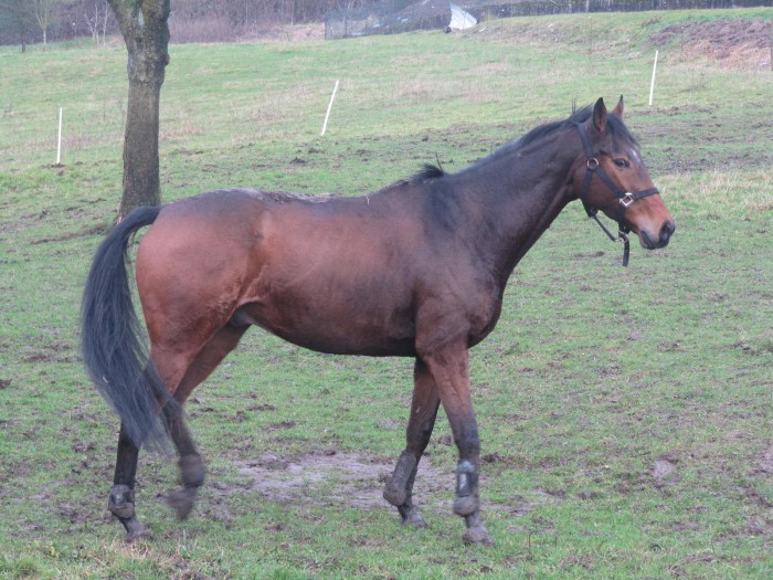 Photo de profil de 67caspinou
