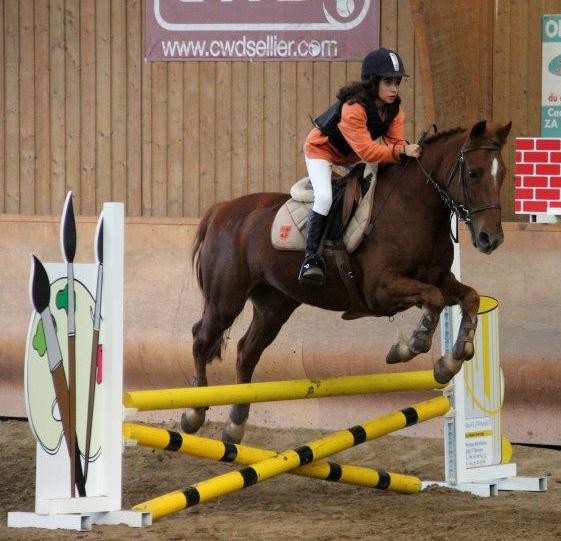 Photo de profil de xhorses