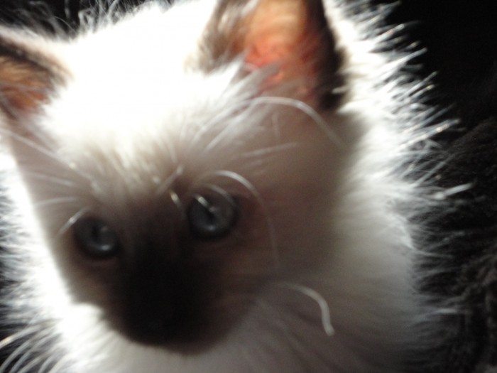 Photo de profil de mathildeparisot