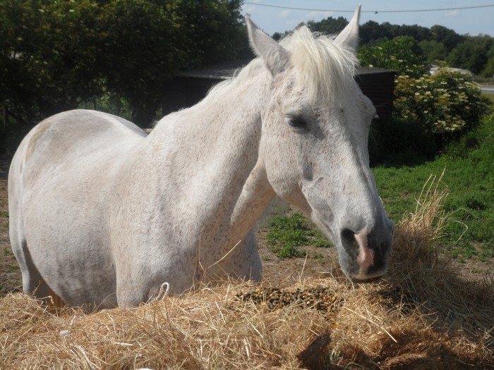 Photo de profil de adelin60