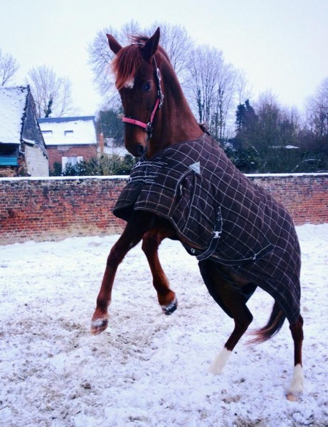 Photo de profil de lolotte072