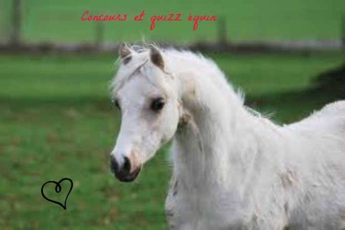 Photo de profil de ourallle