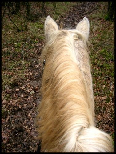 Photo de profil de svan