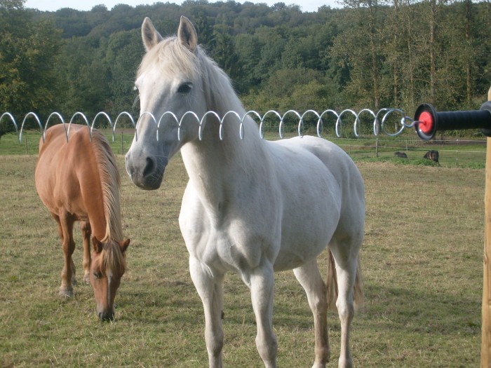 Photo de profil de hoebeke