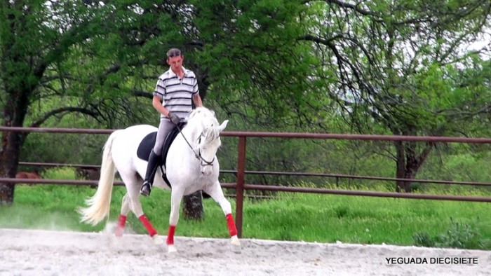 Photo de profil de gaiduk