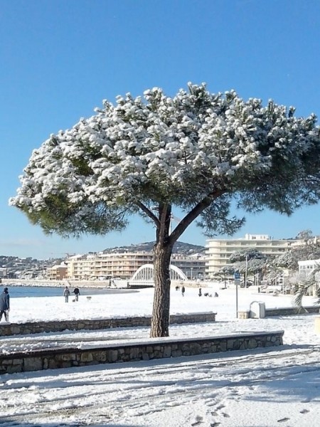 Photo de profil de lolacola123