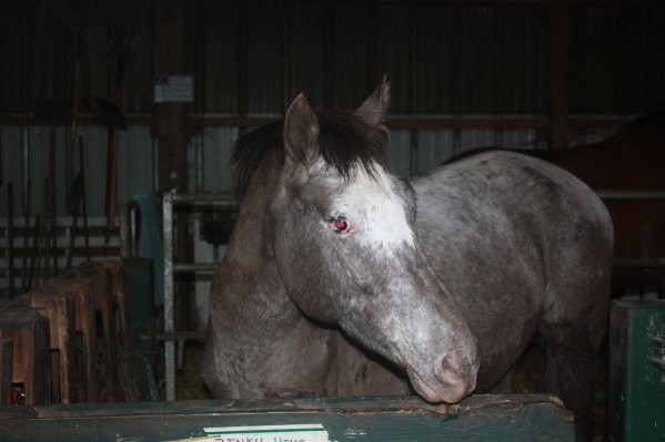 Photo de profil de pinkyhoy