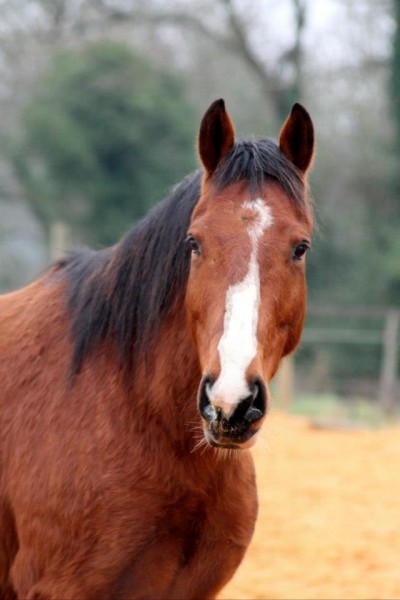 Photo de profil de sandy1208