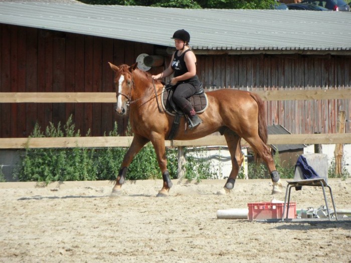 Photo de profil de orquide